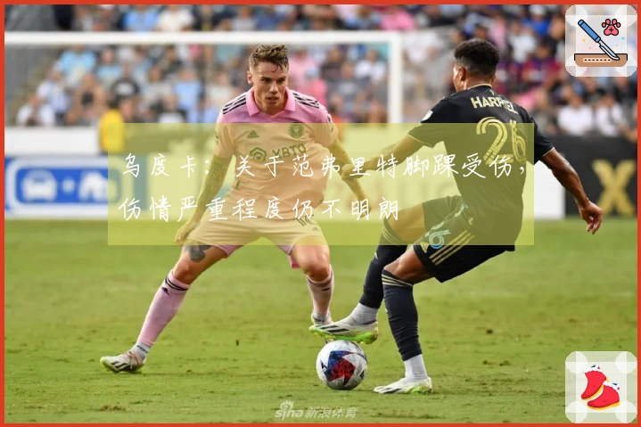 乌度卡：关于范弗里特脚踝受伤，伤情严重程度仍不明朗
