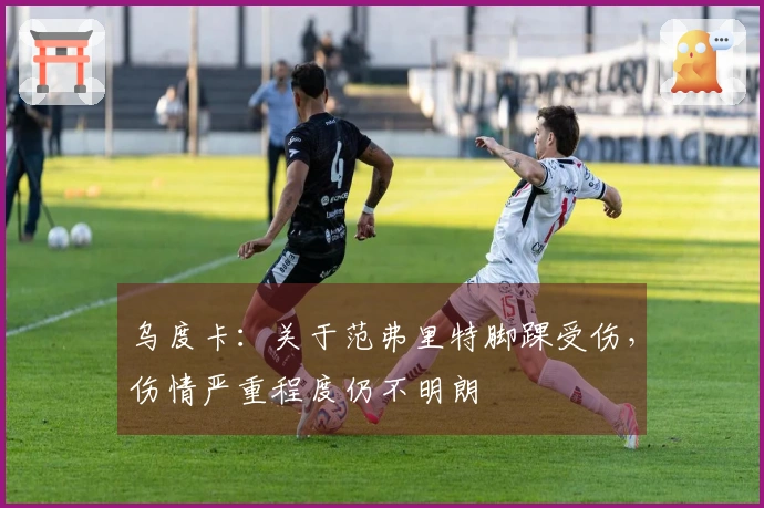 乌度卡：关于范弗里特脚踝受伤，伤情严重程度仍不明朗